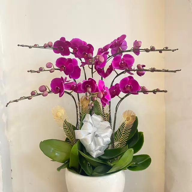 Hình ảnh hoa giao hàng thực tế