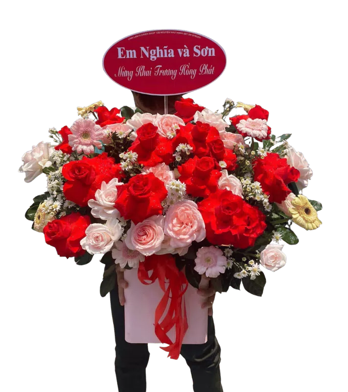 Giỏ Hoa Hồng Đỏ Phấn Nơ Đỏ