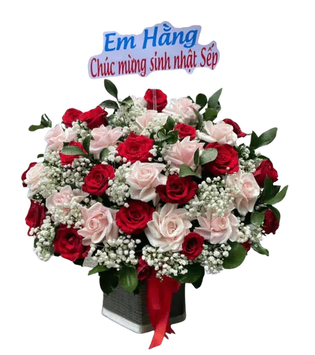 Hộp Hoa Hồng Đỏ Phấn Vuông
